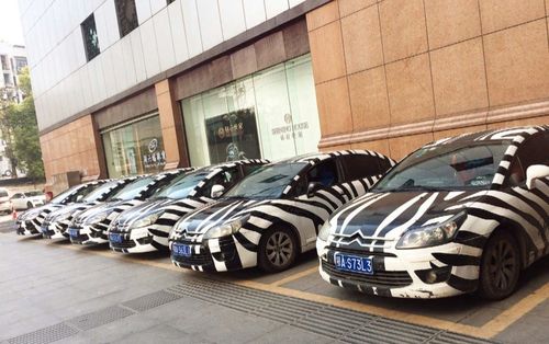 在乘用网约车,共享单车这两个互联网共享经济的大热门领域,斑马快跑从