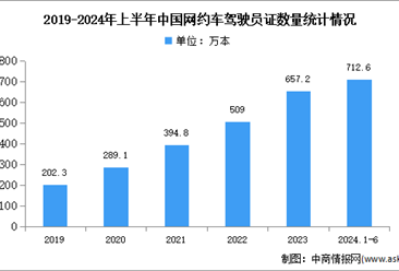 网约车行业研究报告-网约车行业分析报告-网约车